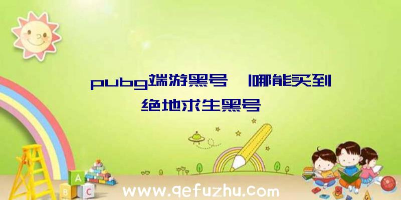 「pubg端游黑号」|哪能买到绝地求生黑号